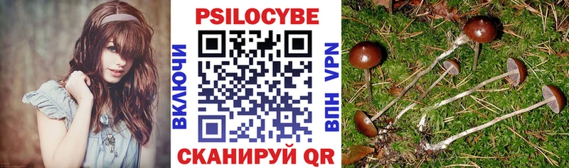 Псилоцибиновые грибы MAGIC MUSHROOMS  Мосальск 